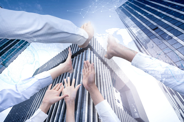 組織結(jié)構(gòu)設(shè)計(jì)原則