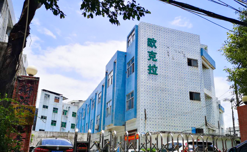 2021年東莞市歐克拉電子科技有限公司全面升級管理項目圓滿成功！