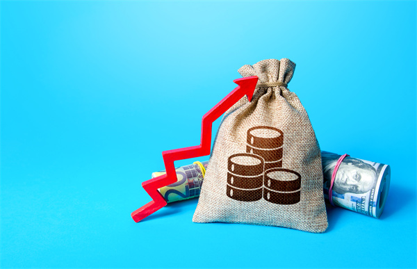 「預(yù)算管理咨詢」如何在不同階段制定不同的預(yù)算計(jì)劃？