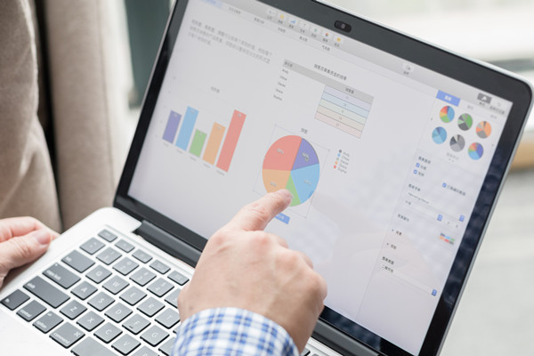 預(yù)算控制咨詢：協(xié)助企業(yè)建立控制體系，確保預(yù)算執(zhí)行