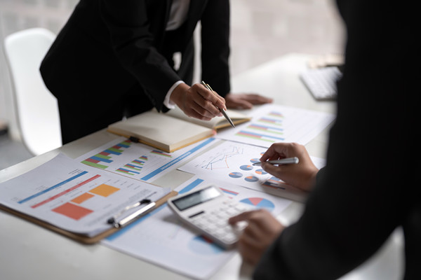 彈性預(yù)算咨詢：應(yīng)對(duì)市場(chǎng)變化，優(yōu)化預(yù)算策略