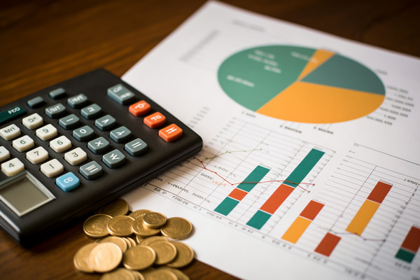 強(qiáng)化集團(tuán)管控：財(cái)務(wù)，人力資源，信息技術(shù)的整合