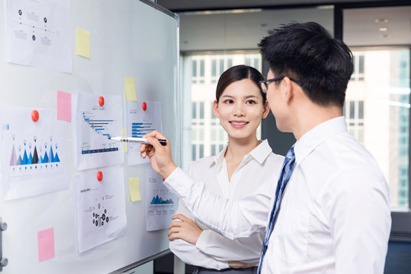 組織咨詢：協(xié)助企業(yè)制定組織發(fā)展戰(zhàn)略，推動組織成長