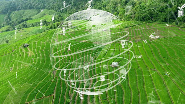 制定年度經(jīng)營計劃：實(shí)現(xiàn)可持續(xù)發(fā)展目標(biāo)