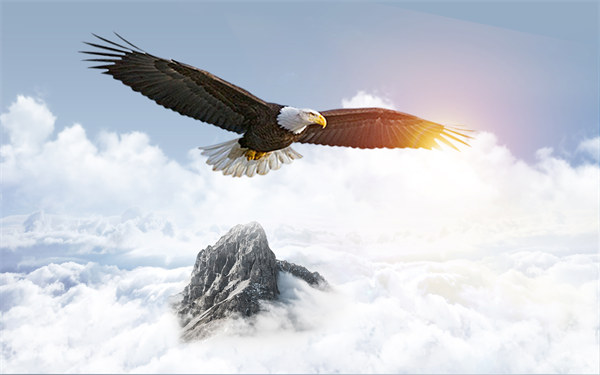 組織規(guī)劃引領(lǐng)企業(yè)變革，塑造全新管理模式與未來