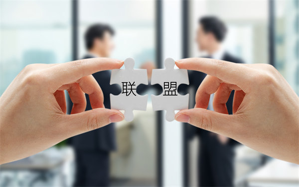 戰(zhàn)略聯(lián)盟與合作：強(qiáng)強(qiáng)聯(lián)手，共創(chuàng)未來