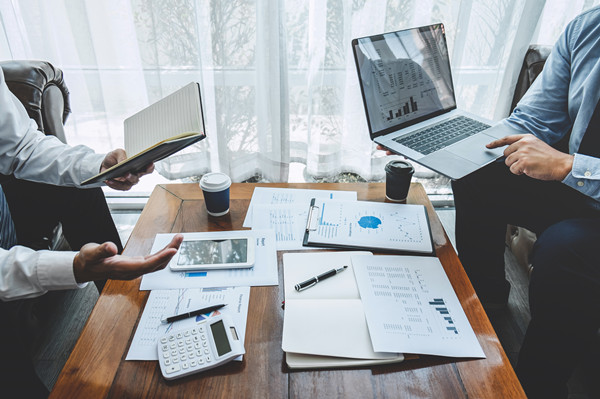 立足戰(zhàn)略大局，提供專業(yè)咨詢，助力企業(yè)騰飛