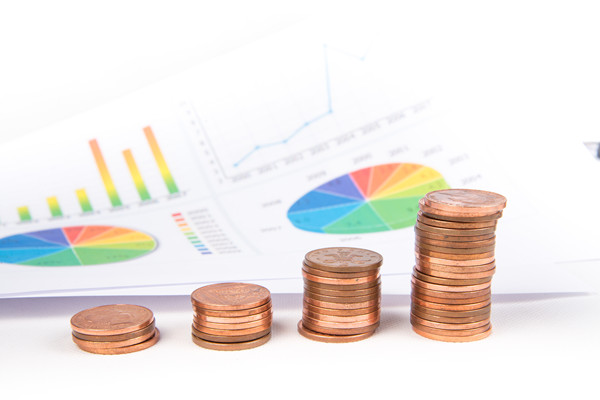 企業(yè)預(yù)算管理：一個(gè)全方位、多維度的財(cái)務(wù)管理策略