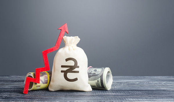 預(yù)算管理中的風(fēng)險評估與應(yīng)對策略有哪些？