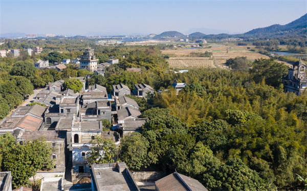 江門管理咨詢公司如何定制高效解決方案？