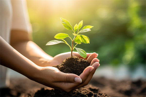 可持續(xù)發(fā)展成為趨勢(shì)，企業(yè)如何融入綠色戰(zhàn)略以促增長？