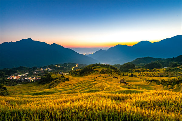 定制化管理咨詢方案：麗水企業(yè)轉(zhuǎn)型升級(jí)的鑰匙？