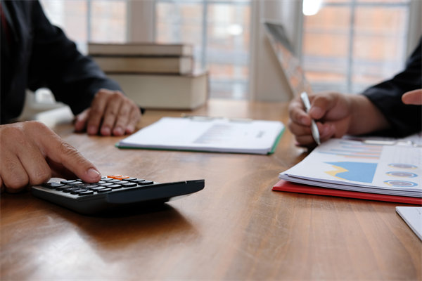 預(yù)算管理系統(tǒng)中，如何平衡自動化與人工審核的利弊？