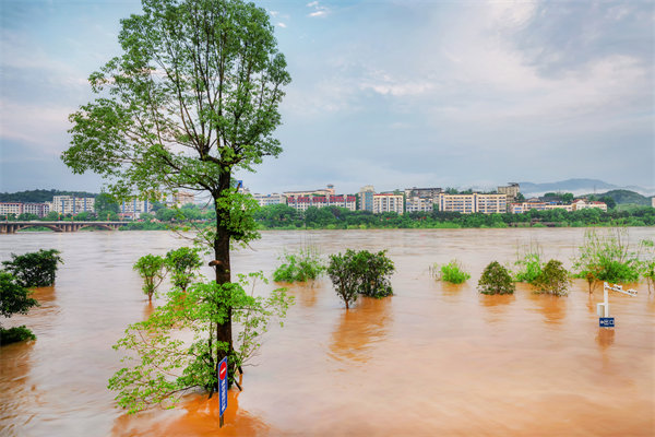 供應(yīng)鏈韌性建設(shè)：面對自然災(zāi)害的應(yīng)急計劃與恢復(fù)力？