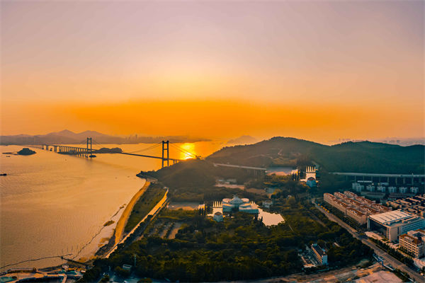 東莞供應(yīng)鏈咨詢公司如何優(yōu)化企業(yè)供應(yīng)鏈流程？