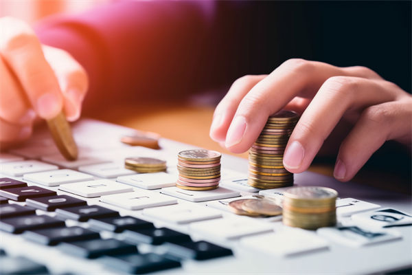 預算分析過程中，如何識別并糾正數(shù)據(jù)偏差，確保準確性？