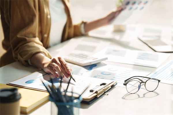 在預算執(zhí)行中，如何確保監(jiān)控與調整機制的有效性？