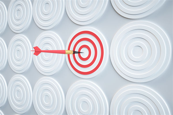 集團(tuán)戰(zhàn)略如何通過有效管控，確保落地執(zhí)行到位？