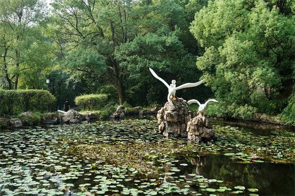 株洲預(yù)算管理咨詢公司如何為企業(yè)打造精準(zhǔn)預(yù)算管理體系？