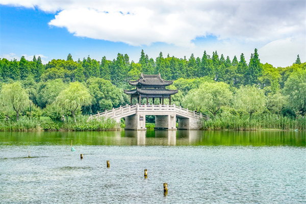 常州組織規(guī)劃咨詢公司如何設(shè)計(jì)高效組織架構(gòu)？