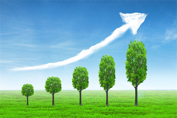 植樹就是植未來，對(duì)企業(yè)的戰(zhàn)略規(guī)劃有哪些啟示？