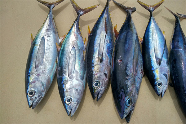 商務(wù)部：將幫助外貿(mào)企業(yè)擴(kuò)寬內(nèi)銷渠道，政策解讀！