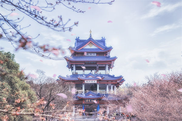 供應(yīng)鏈成本居高不下，無錫供應(yīng)鏈咨詢公司如何精準(zhǔn)砍出利潤(rùn)空間？