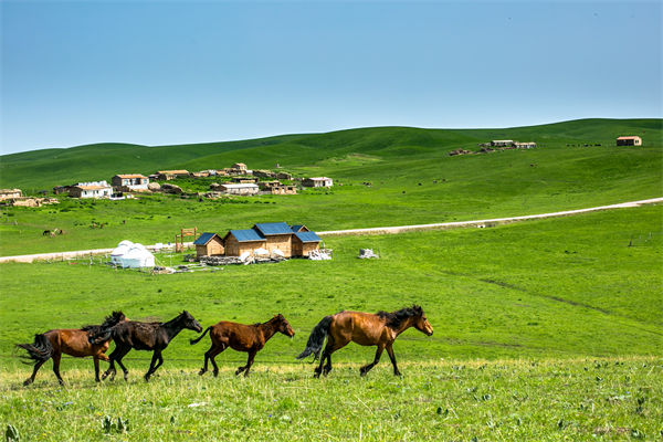 飛新疆的機票價格漲爆了，什么情況？是營銷炒作？