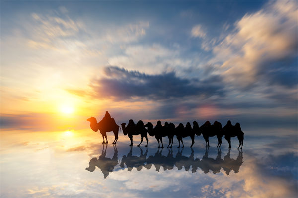 戰(zhàn)略與文化脫節(jié)，企業(yè)理念如何落地支撐發(fā)展？