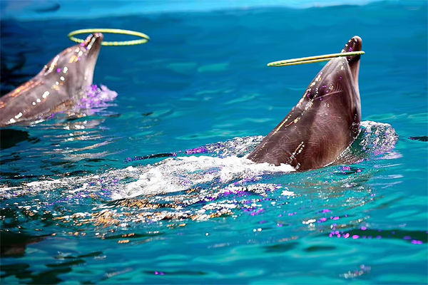 績(jī)效管理分析：公園月薪3萬(wàn)招摸魚(yú)官每天工作2小時(shí)