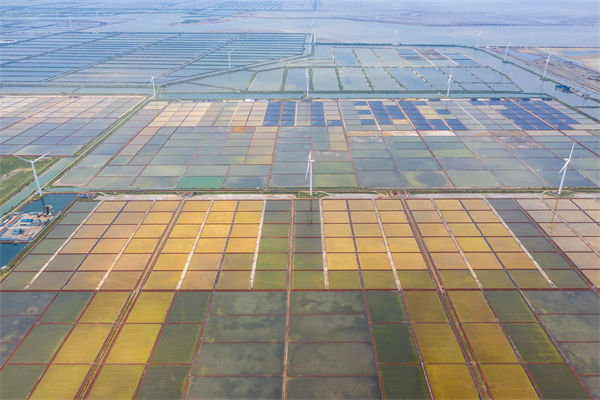 濰坊集團(tuán)子公司失控內(nèi)耗嚴(yán)重，濰坊集團(tuán)管控咨詢公司如何重構(gòu)權(quán)責(zé)體系？