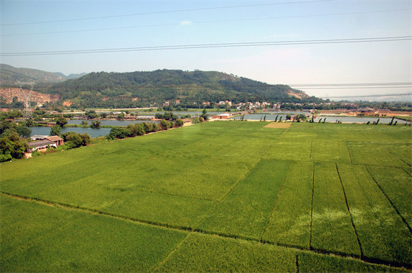 清遠(yuǎn)人力資源咨詢公司量體裁衣，如何激活企業(yè)人才發(fā)展新動(dòng)能？