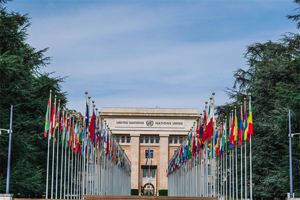 英法等25國發(fā)表聯(lián)合聲明，企業(yè)組織規(guī)劃有何啟示？