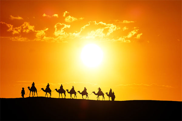 高層標榜的企業(yè)文化，如何穿透形式真正落地生根？