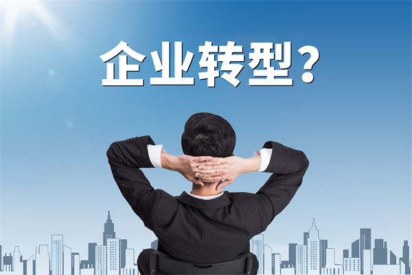 企業(yè)轉(zhuǎn)型無方向，數(shù)智化咨詢公司能否指引明路？