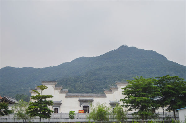 子公司各自為戰(zhàn)內(nèi)耗大，佛山集團(tuán)管控咨詢公司有何整合之道？