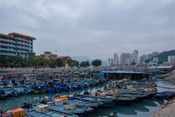 精益生產(chǎn)分析：開海第一網(wǎng)撈8000斤，船長合不攏嘴